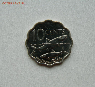 Багамские острова 10 центов 2010 г. (Фауна) до 23.08.25 - DSCN7016.JPG