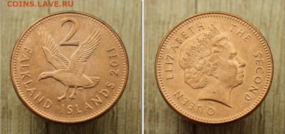 Фолклендские острова 2 пенса, 2011 Горный Гусь птица фауна - folklendskie_ostrova_2_pensa_2011_gornyj_gus_ptica_fauna