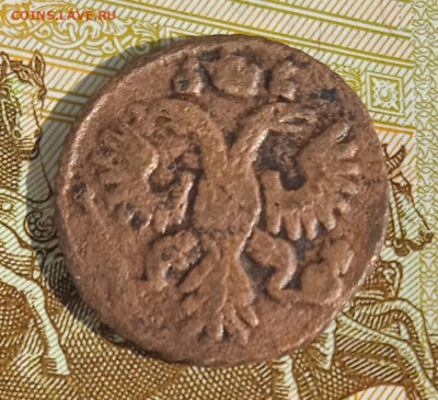 Полушка 1736 г.  до 25.08.25 - IMG_20250818_161423_1