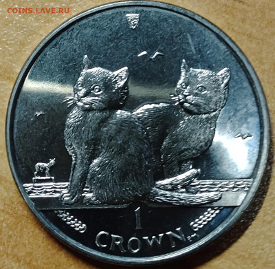 Остров Мэн 1 крона 2003 балийская кошка до 22.08 - IMG_20250817_193026_298