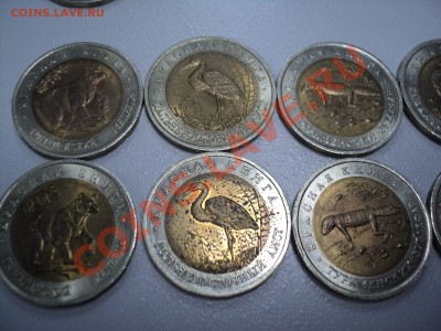Красная книга 1991-1994 гг - 93-1.JPG