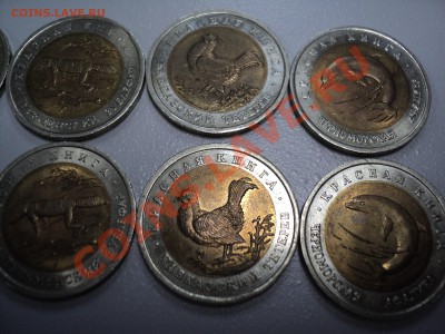 Красная книга 1991-1994 гг - 93-2.JPG