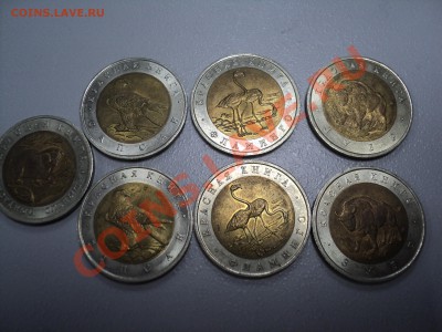 Красная книга 1991-1994 гг - 94-1.JPG