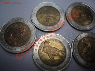 Красная книга 1991-1994 гг - 94-2.JPG