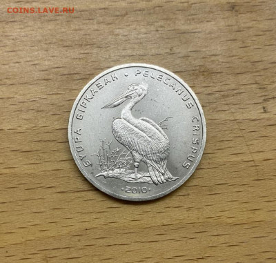 Казахстан 50 тенге 2010 Кудрявый пеликан птица фауна - kazakhstan_50_tenge_2010_kudrjavyj_pelikan_ptica_fauna