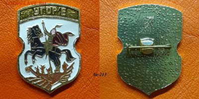 ФИКС – 43. Значки по 50 руб.  до ухода в архив - Зн-213