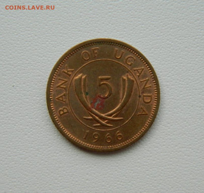 Уганда 5 центов 1966 г. до 27.08.25 - DSCN7173.JPG
