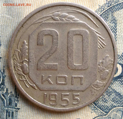 20 копеек 1955 года до 25.08.2025 - IMG_20250822_011420