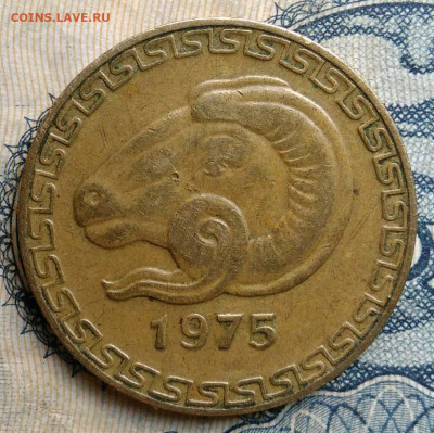 Алжир 20 сантимов 1975 года до 25.08.2025 - IMG_20250822_022121