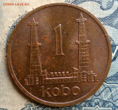 Нигерия 1 кобо 1974 года до 25.08.2025 - IMG_20250822_014146