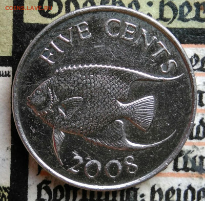 Бермуды 5 центов 2008 года до 25.08.2025 - IMG_20250817_010709
