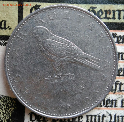 Венгрия 50 форинтов 1995 года до 25.08.2025 - IMG_20250817_005041