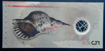 Мальдивы 5 руфий 2017 года до 25.08.2025 - IMG_20250818_021127