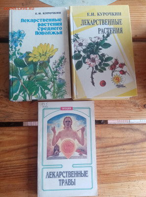 3 книги лекарственные растения до 29.08.25 в 22:00 по мск - IMG_20250823_125250