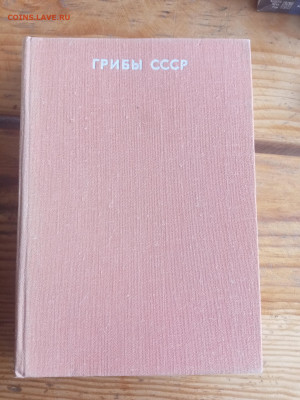 Справочник грибы ссср до 29.08.25 в 22:00 по мск - IMG_20250823_134115
