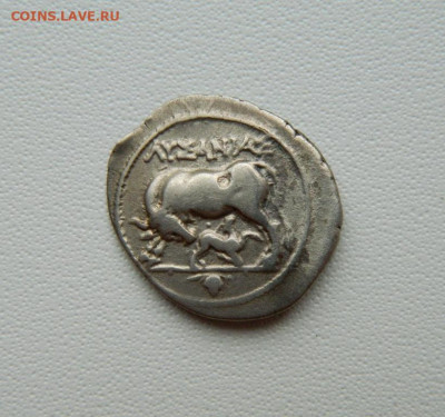 Иллирия?! - DSCN7229.JPG