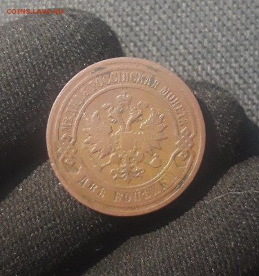 Николай II 2 копейки 1904 года До 30.08 - 20250623_224631