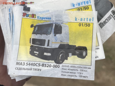 Вкладыши Profi Express. Подскажите! - IMG_5451