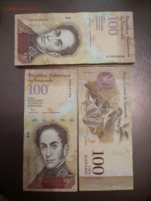 Венесуэла 100 боливар 2012 г. Симон Боливар (30 штук) - 41sBaB8jpVpcfViqi9JawE1GpcFpN-to0oECySEMVgKuLzFnaQhJ05-vh3DgjL2m3nyjBfAzZWhZZfnftLiQClWG