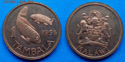 Малави - 1 тамбала 1995 года до 31.08 - Малави 1 тамбала, 1995   50