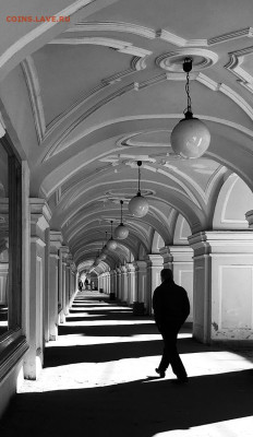 ФОТО - просто фото. Те что получились удачными. - 2401516_image_origin (1)