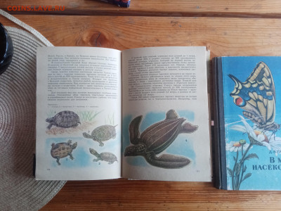 Книги по зоологии и насекомым - IMG_20250825_125426