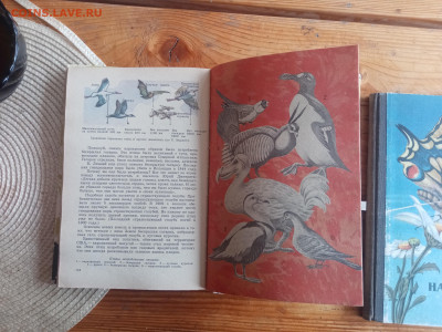 Книги по зоологии и насекомым - IMG_20250825_125411