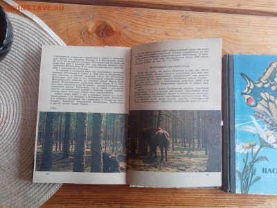 Книги по зоологии и насекомым - IMG_20250825_125349