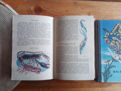 Книги по зоологии и насекомым - IMG_20250825_125334