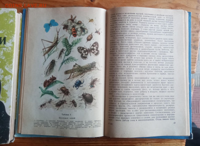Книги по зоологии и насекомым - IMG_20250825_125306