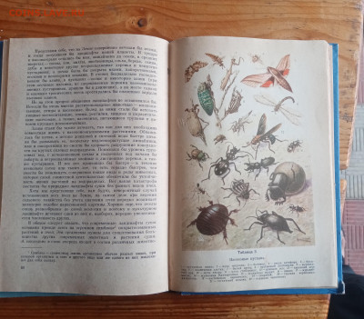 Книги по зоологии и насекомым - IMG_20250825_125249