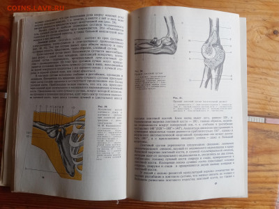 Анатомия человека до 31.08.25 в 22:00 по мск - IMG_20250825_141022