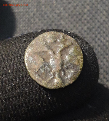 Петр I ПОЛУШКА 1719 года ВРП До 31.08 - 20250725_223257