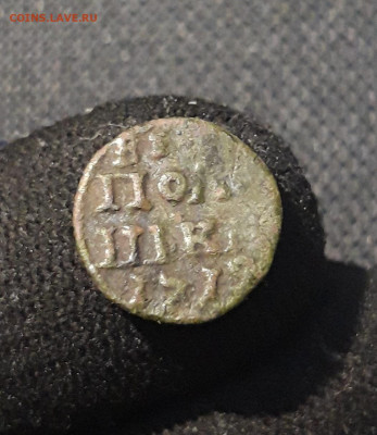Петр I ПОЛУШКА 1719 года ВРП До 31.08 - 20250725_223235