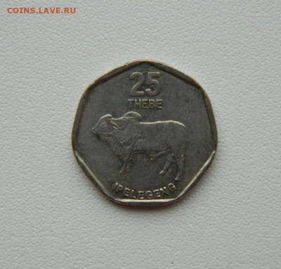 Ботсвана 25 тхебе 1999 г. (Фауна) до 01.09.25 - DSCN7302.JPG