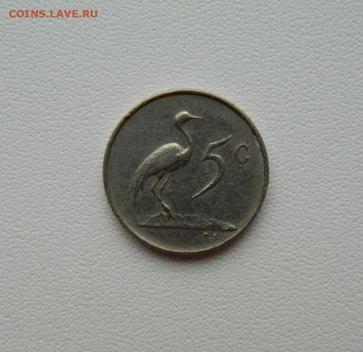 Южная Африка 5 центов 1965 г. (Фауна) до 01.09.25 - DSCN7238.JPG