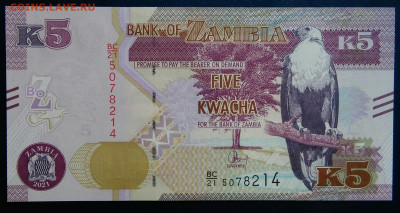 Замбия 5 квача 2021 года до 01.09.2025 - IMG_20250825_225822