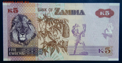 Замбия 5 квача 2021 года до 01.09.2025 - IMG_20250825_225842