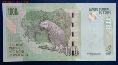 Конго 1000 франков 2022 года до 01.09.2025 - IMG_20250825_225234
