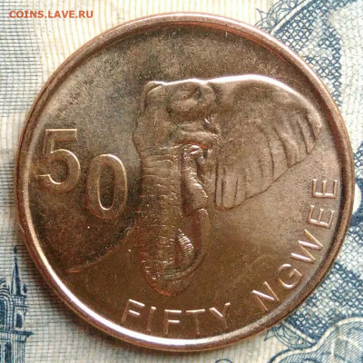 Замбия 50 нгве 2024 года до 01.09.2025 - IMG_20250827_231146