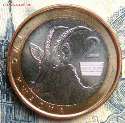 Замбия 2 квача 2024 года до 01.09.2025 - IMG_20250827_215926