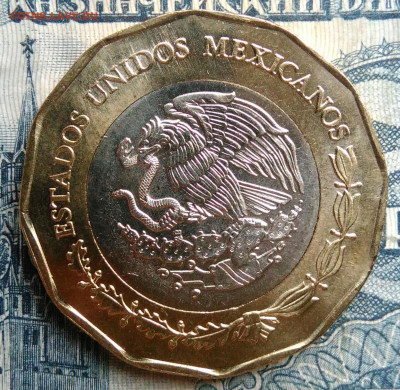 Мексика 20 песо 2021 года до 01.09.2025 - IMG_20250827_221530