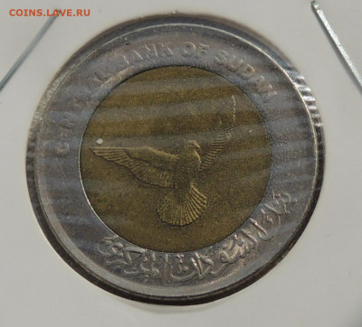 Судан 50 пиастров 2006 до 31.08.2025 - Судан 50 пиастров 2006 .JPG