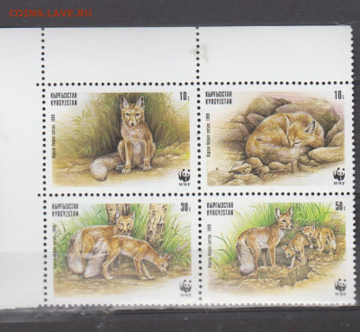 киргизия 1999 лисы 4м до 02 09 - 34