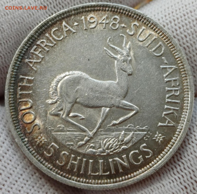 ЮАР 5 шиллингов 1948 г. - 20250828_135855