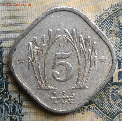 Пакистан 5 пайс 1989 года до 01.09.2025 - IMG_20250827_215343