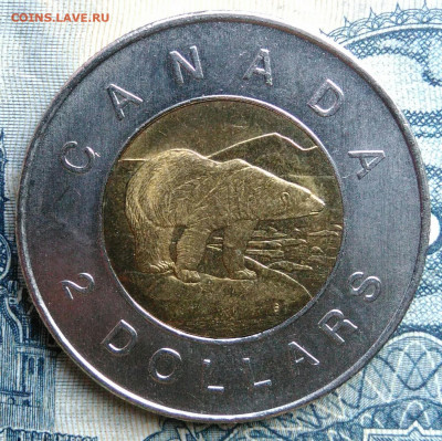 Канада 2 доллара 2004 года до 01.09.2025 - IMG_20250826_022242