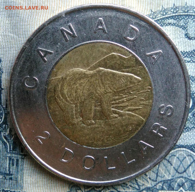 Канада 2 доллара 2009 года до 01.09.2025 - IMG_20250826_022318