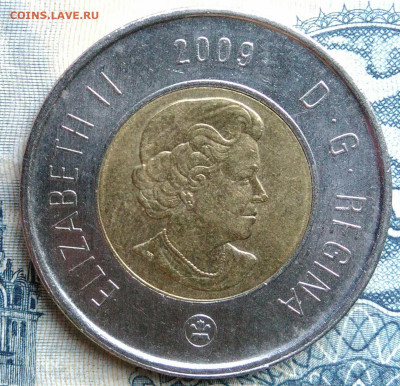 Канада 2 доллара 2009 года до 01.09.2025 - IMG_20250826_022334