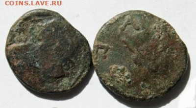 Монета Боспора(?), атрибуция - e8124ff930eb803c47589c4091d44c51.md